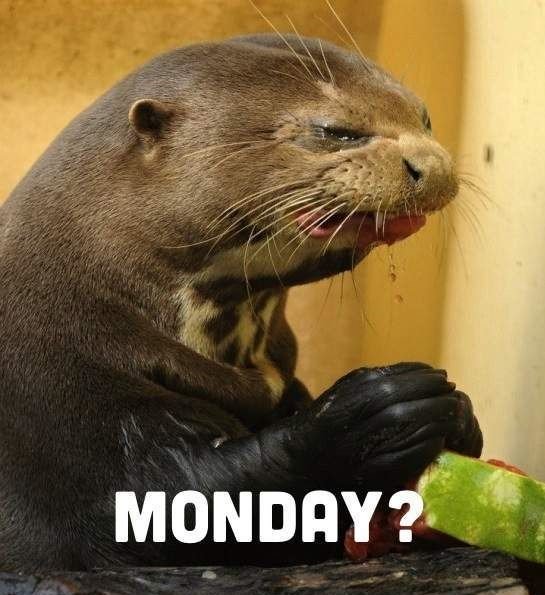ShieldsRecruit's tweet photo. Back to the beginning of another working week https://t.co/G72dSpZZqC