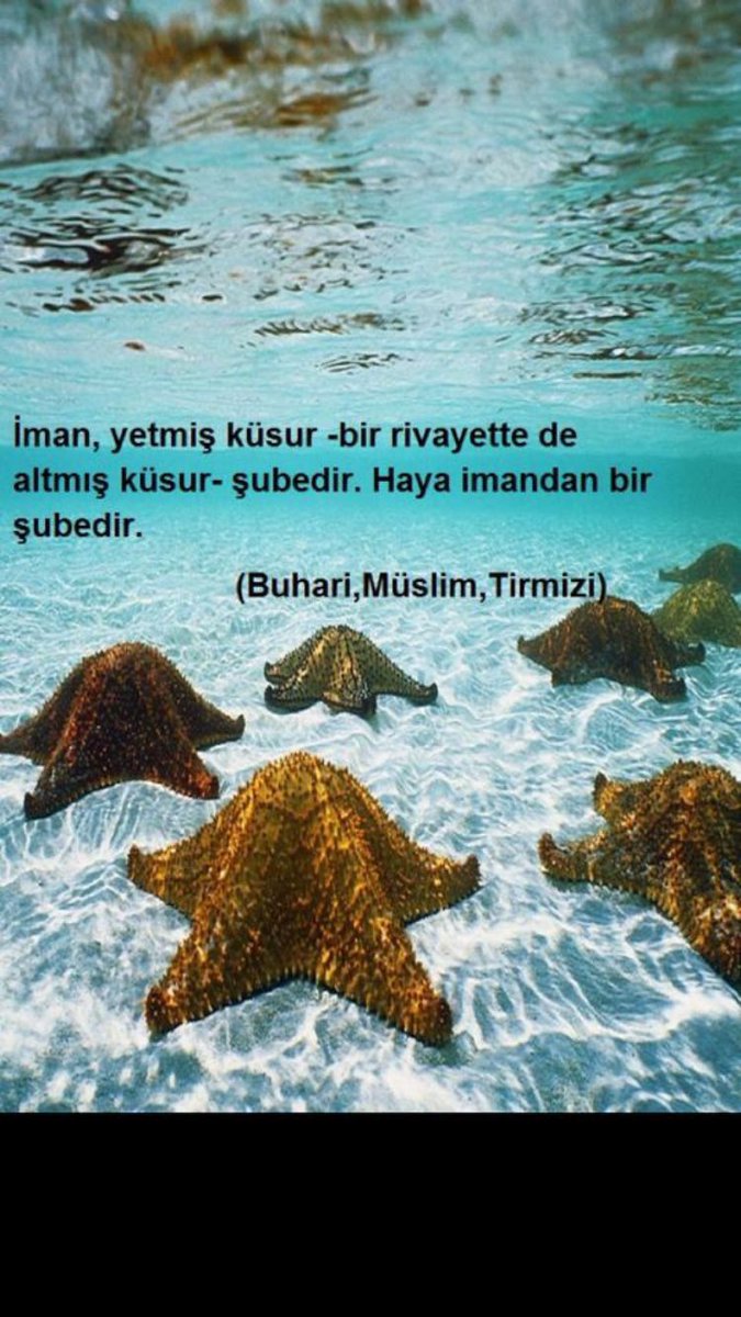 Dua kapısı (@dua__kapisi) on Twitter photo 