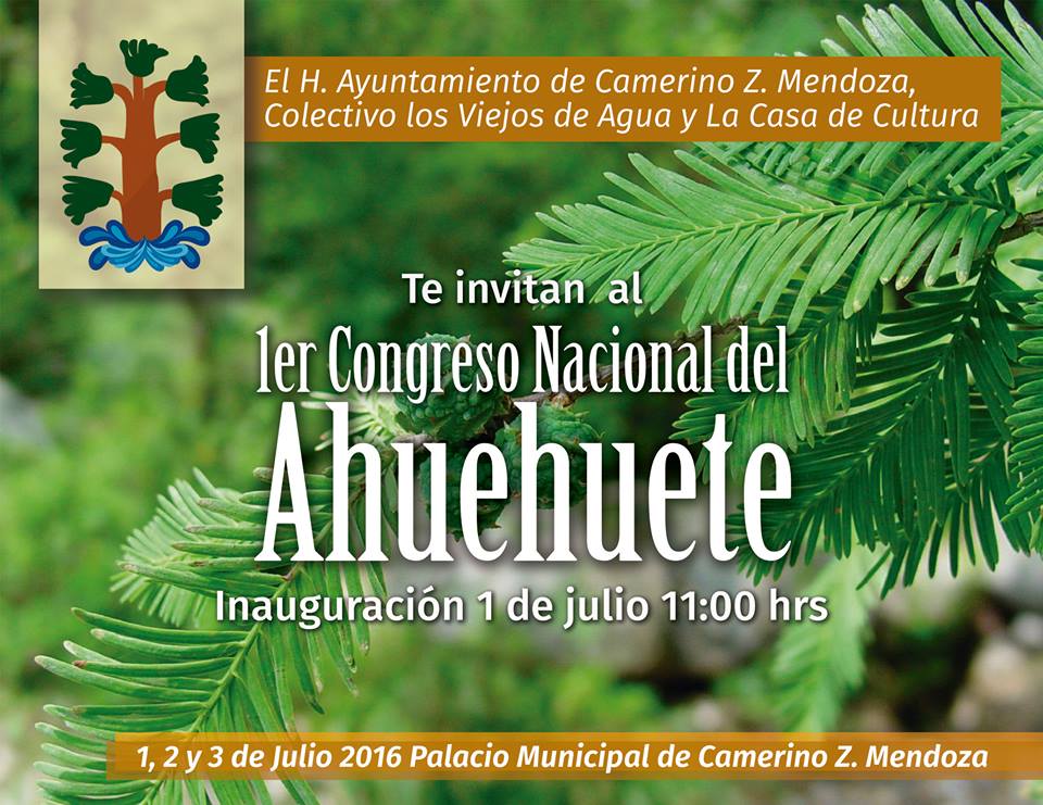 turismozmendoza's tweet photo. Ruta desde #CDMX  #CiudadDeMéxico hacia el Congreso Nacional del #Ahuehuete #CdMendoza #Veracruz Te Eperamos!!! https://t.co/iND7D55ics