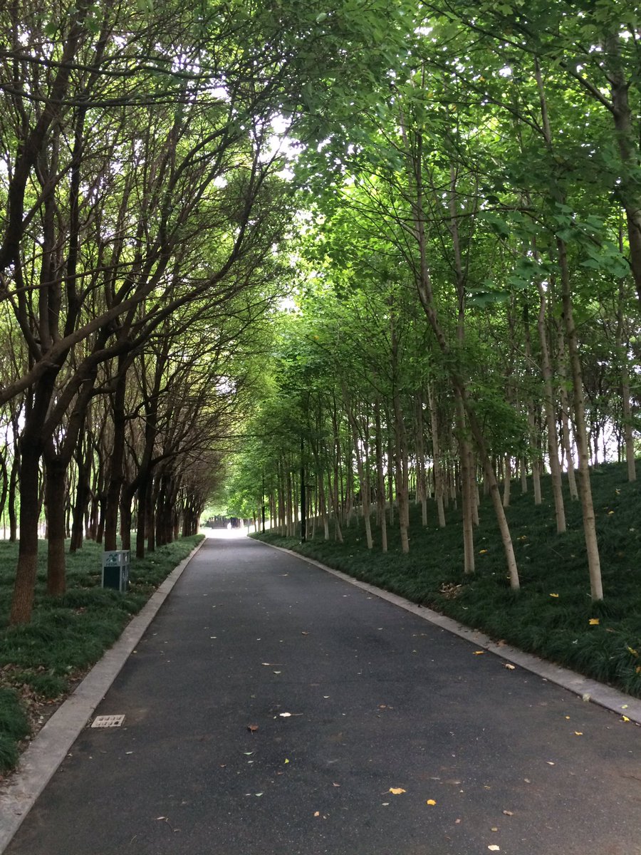 KingswinDesign's tweet image. 