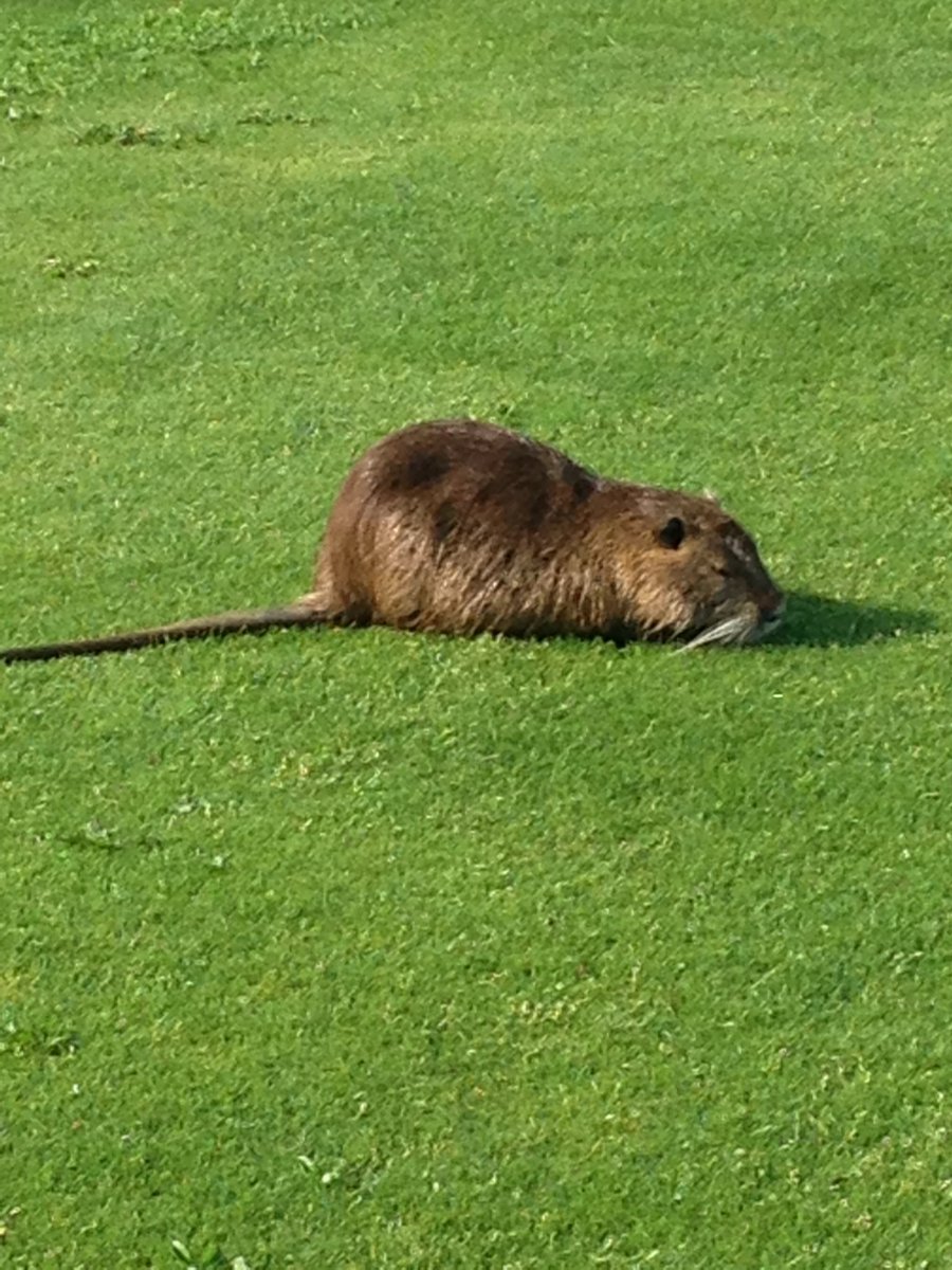 Cecile Sabatier tweet media