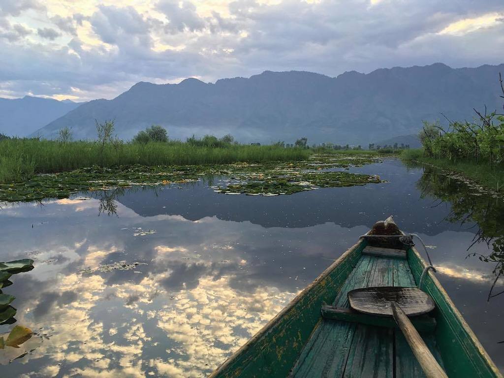 GennaMMason's tweet photo. An early morning shikara ride through the floating gardens on Dal Lake. #Kashmir #culture … https://t.co/0oFJL8hZ9M https://t.co/fVtFkE5OLp