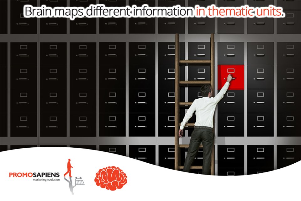 promosapienshr's tweet image. Less information - clearer #content.
#neuroscience #brainmaps