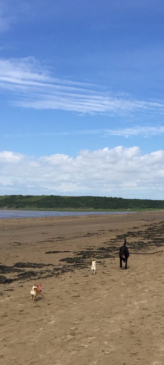 kipperchichi's tweet photo. Beach run!!!! Bit windy tho #hangingwithfriends https://t.co/T7SEBIG90c