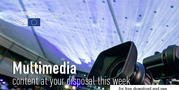 Europarl_DE's tweet image. Berichtest du über EU-Politik? Du kannst unsere Infografiken kostenlos nutzen → bit.ly/294UpGW #EPnetwork