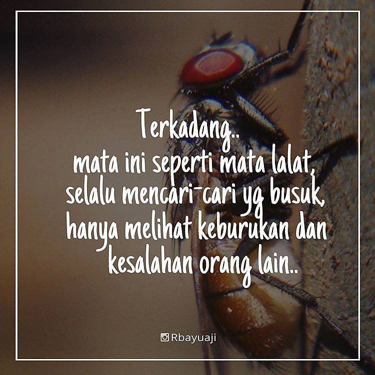 NdoksDistro's tweet photo. Tlu mudah utk mncari ksalahan org lain dibandingkan ksalahan kita sendiri. Met sahur. #BrowniesLabu #boluubicilembu https://t.co/x9zSFDhe4I