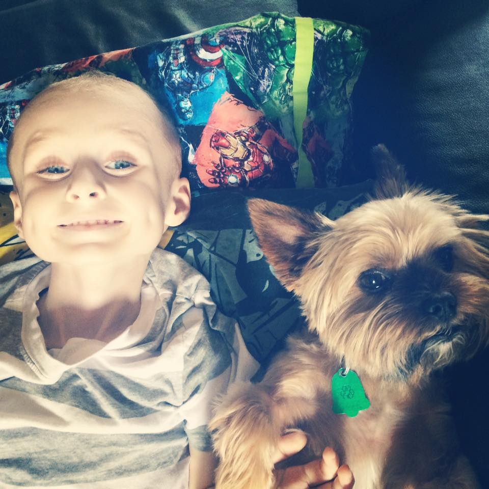 rhindi800's tweet photo. Sad news to share...4 year old Mason Macri has passed away after a lengthy battle with cancer.  More to come. #cklw https://t.co/P0R39z78tQ