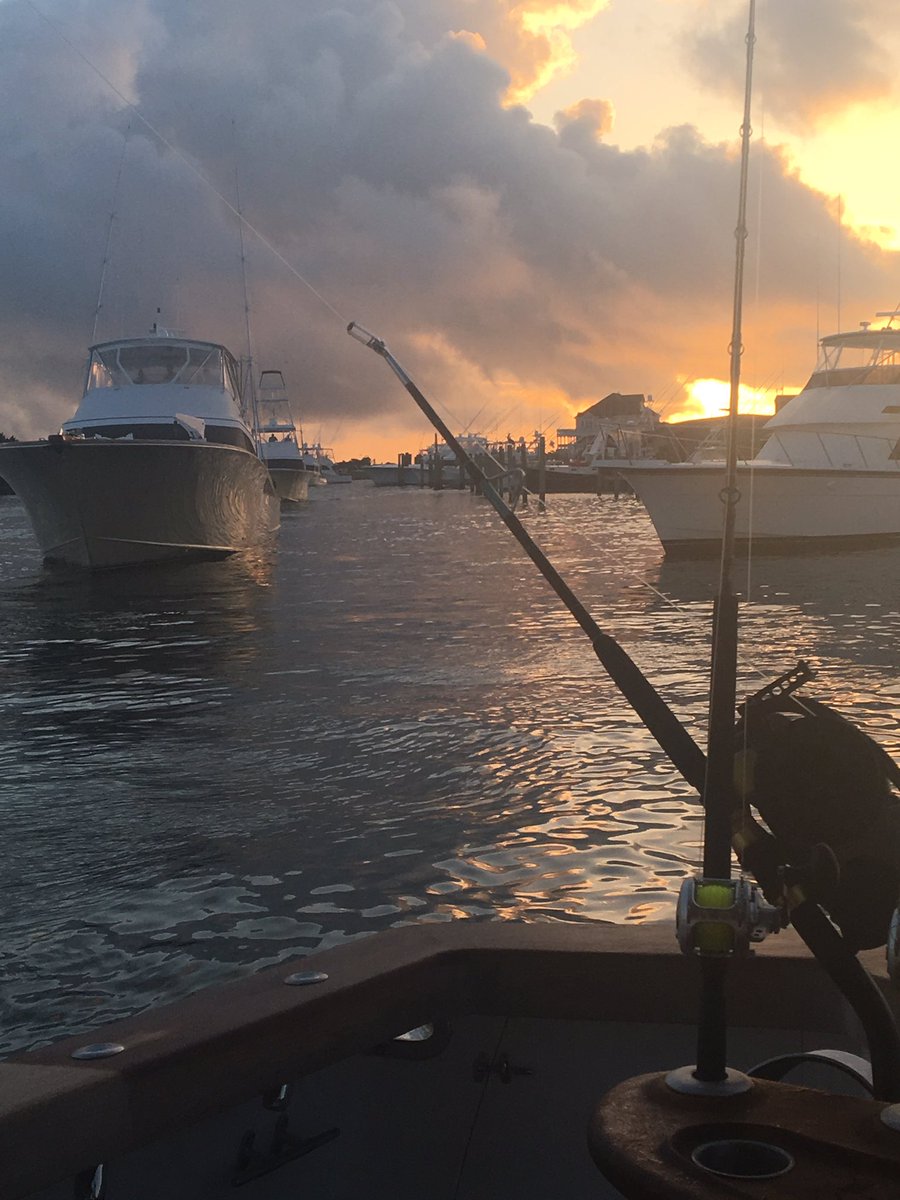 MeredithJRhodes's tweet photo. Day 1!  #hatterasmarlinclub https://t.co/sK39X5WLKH