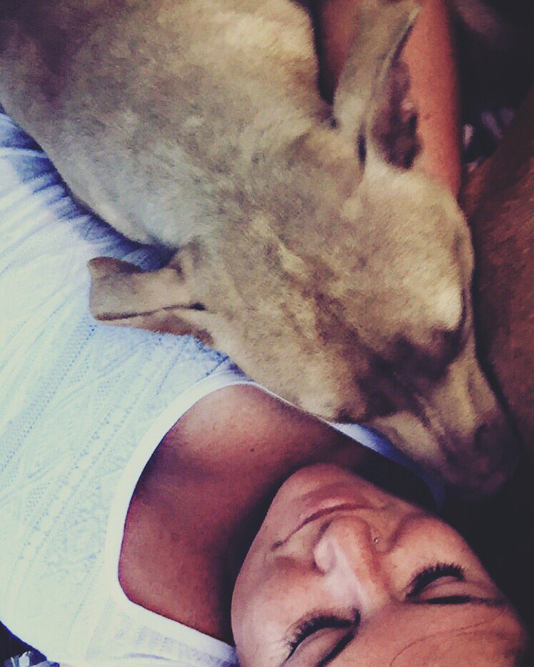 flowerrchild143's tweet image. #Pitbulls may just be my favorite breed. #Pits #DontBlameTheBreed #FourLeggedChild #Lovebug