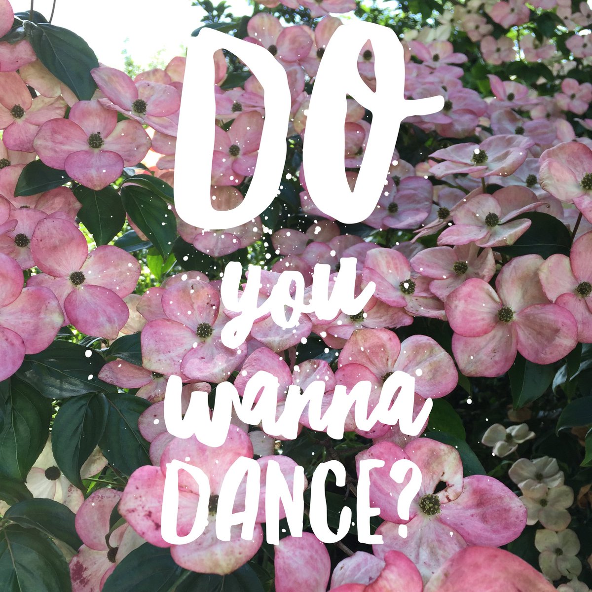 one_setting's tweet photo. Join our adult ballet class in #Disley #cheshire on Tuesday's at 11am - Disley Methodist Church #adultballetclass https://t.co/3zIjlaJerH