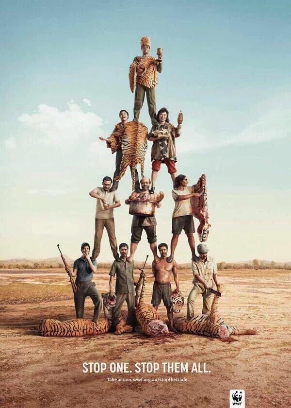 Pics with a story tweet media