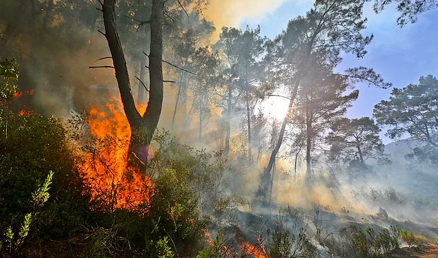 Antalya Adrasan'da dun baslayan ve cigerlerimizi yakan yangin 150 hektardan fazla ormanlik alani kul etti