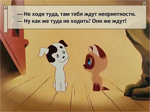 _Moriarfer_ tweet picture