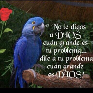 Bonifacio Aquino Gracias Mi Dios Por Permitirme Cumplir Un Ano Mas De Vida