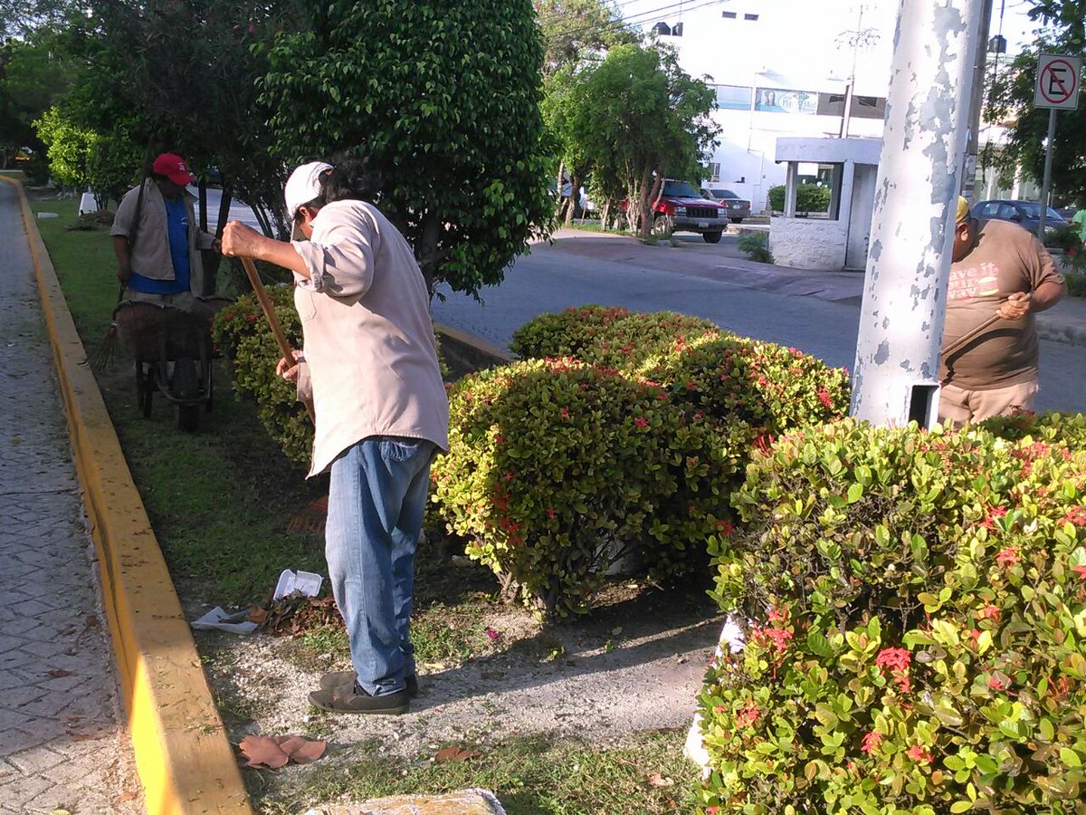 EmmanuelZetina's tweet photo. Trabajos de limpieza en banquetas y camellon de #AvNader @VivoEnCancun @AytoCancun @PaulCarrillo2 https://t.co/gQ4Fwturn7