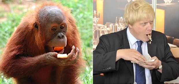 これから全世界でボリスネタ画像探しが始まる…にちがいない