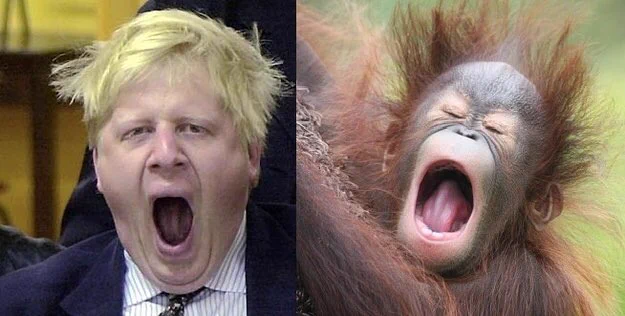 これから全世界でボリスネタ画像探しが始まる…にちがいない