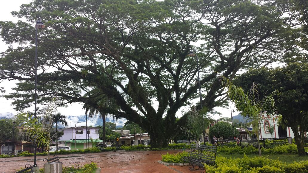 Feliz inicio de semana, les desea la Admon Mpal Por el Camino Correcto, desde <a href="/Sabanalargacas/">Alcaldía Sabanalarga</a> La Perla del Casanare.