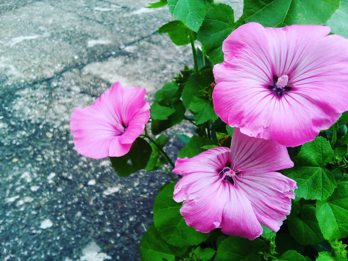 daniel_machac's tweet image. I love to go outside and take some photos of natural