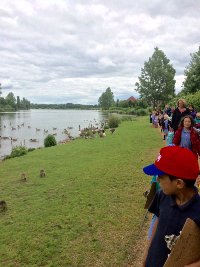 MissMitri's tweet photo. @LongMeadowSch Pondskaters had a lovely morning at Furzton Lake 🌳⛅️ https://t.co/rtR5cm4oFY