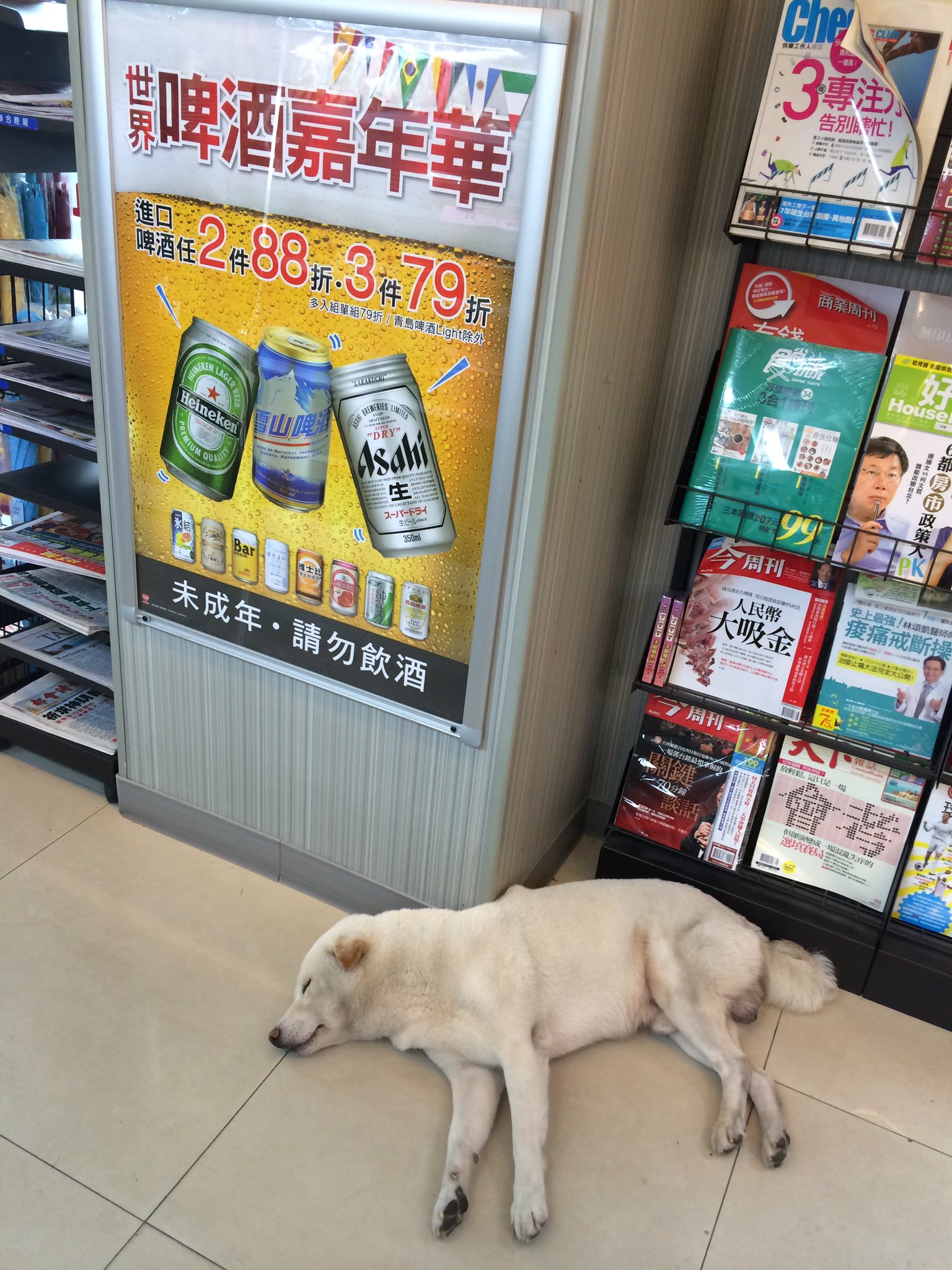 大久保麻梨子の台湾生活 台湾 コンビニで寝ている犬に結構な確率で遭遇する 台湾 あるある 犬 熟睡 T Co Arkemlnalb Twitter