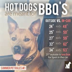 BarriePolice's tweet image. .@BarriePolice had 8 calls this weekend for dogs in cars, that is 8 too many! Leave your pets at home #HotDogsR4BBQs