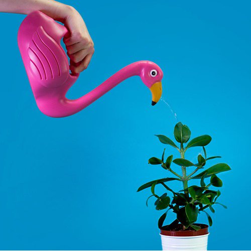 themakehappy's tweet photo. Get ready for #summer with this flamingo watering can. Water plants...or pour a marg in it… https://t.co/LtjgO0Eqdf https://t.co/KqqUuDgDN1