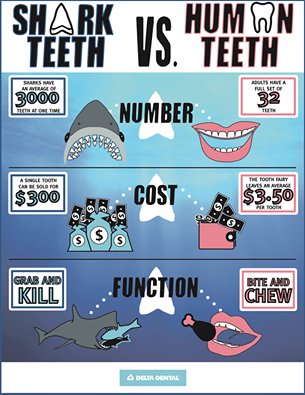 Now that Shark Week has started, here's a look at how shark teeth and human teeth compare to each other.