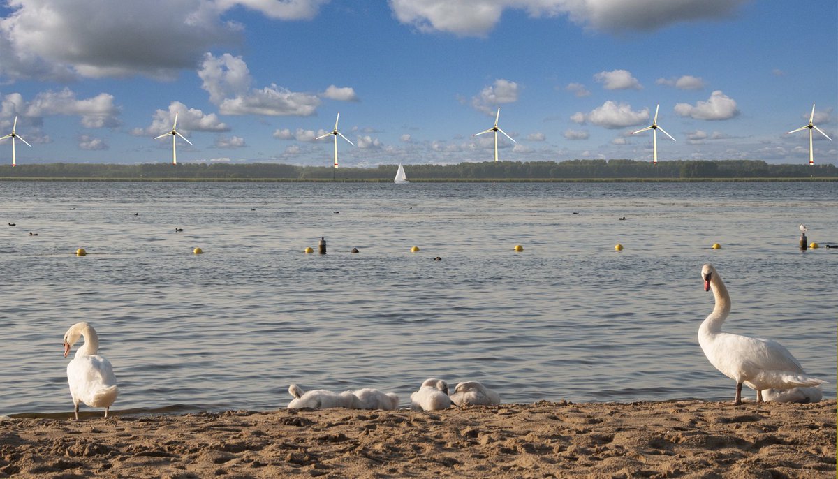 stopwindmolens's tweet photo. Teken de petitie tegen megawindmolens en kom ook! https://t.co/WiiKL1u6Ix https://t.co/gSN2JbSBTU