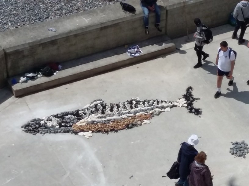 iozzi's tweet photo. Y8s Ovingdean beach @LonghillSchool https://t.co/Ug6Cpx16uo