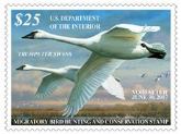 djcasedotcom's tweet photo. Get your 2016 Duck Stamp yet? Went on sale last Friday. Find out more at https://t.co/mnGtuQeFoc https://t.co/rpgarcrFST