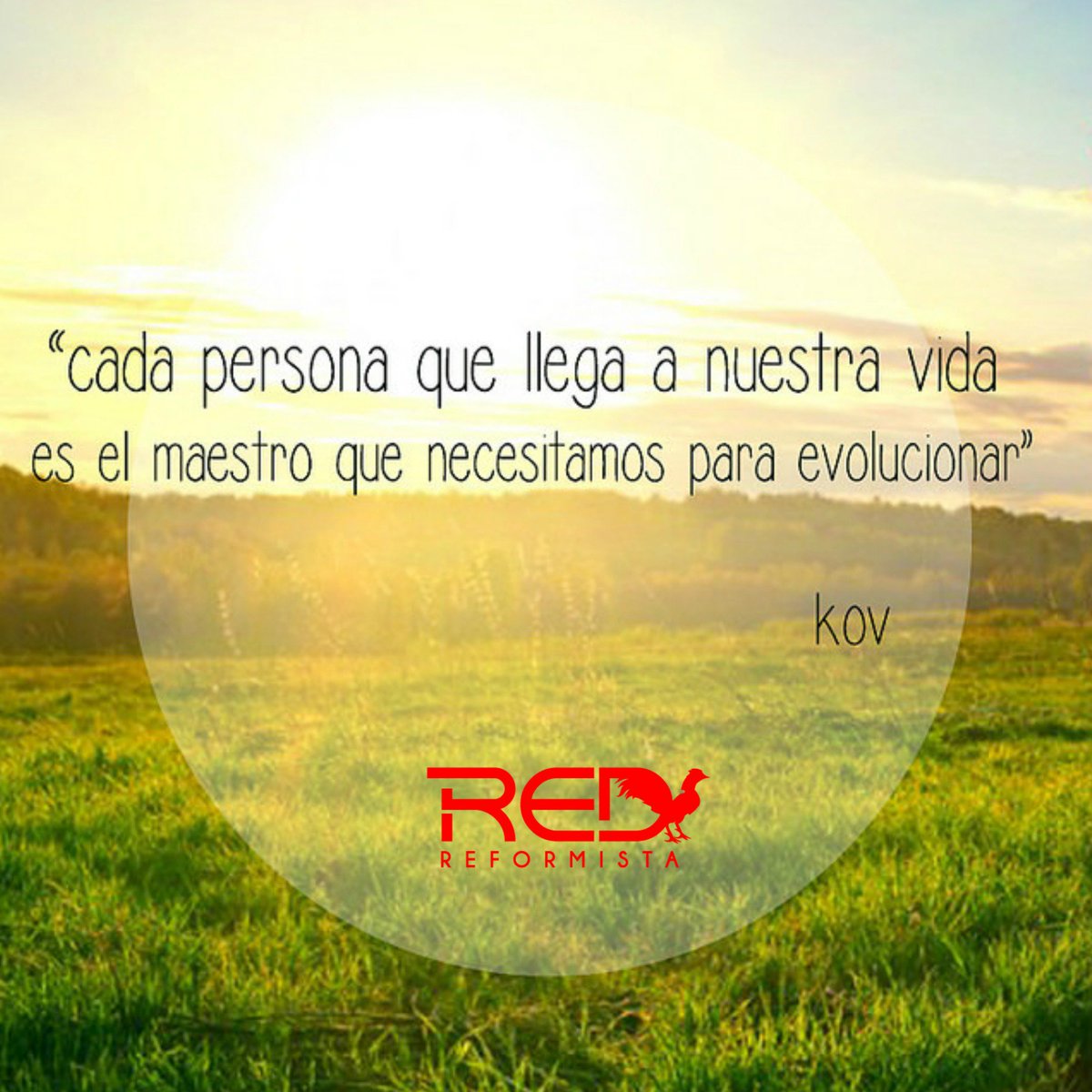 Lared_do's tweet photo. Aprende de cada oportunidad que se te presenta en la vida, que tu caminar por la vida sea una constante enseñanza. https://t.co/mGAWrCwIaz