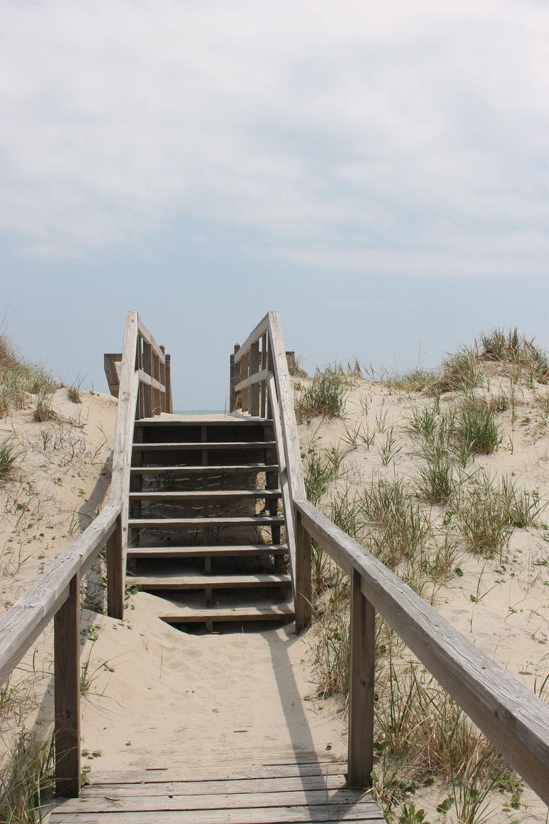 theouterbanks's tweet photo. A taste of the island life awaits you. https://t.co/FElnIeBECH