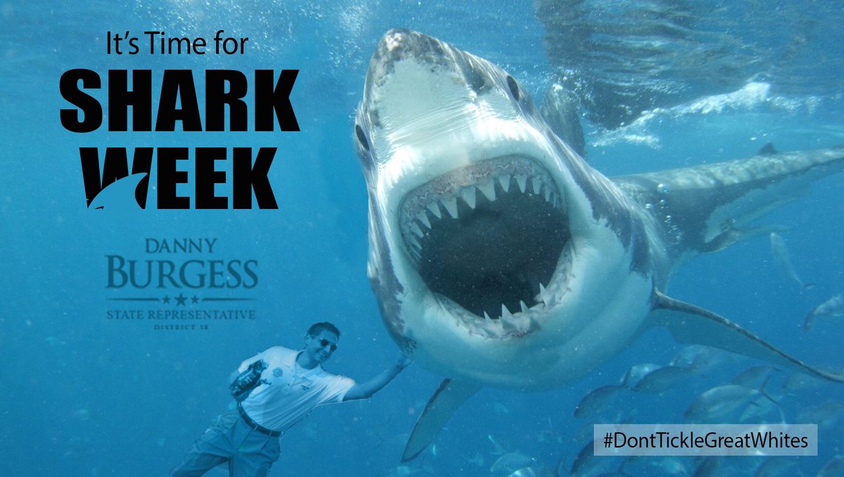 SIMwins's tweet image. We&apos;re big fans of his and he&apos;s a big fan of Shark Week! #SharkWeek #DontTickleGreatWhites @DannyBurgessFL
