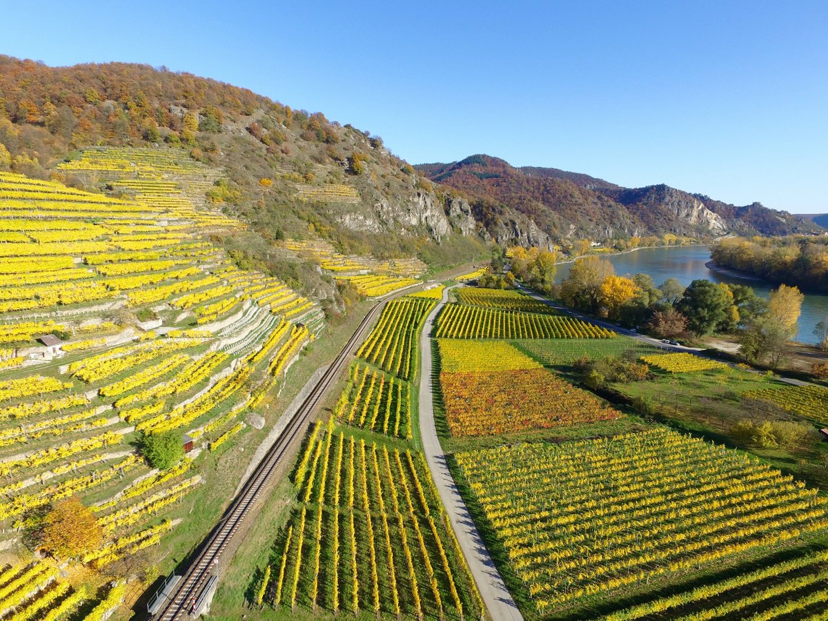 UNEP's tweet photo. About 1/3 of European farmland is currently used to grow food that is thrown away – #GEO6: https://t.co/jSuhFCERq1 https://t.co/gjt4NybnT4