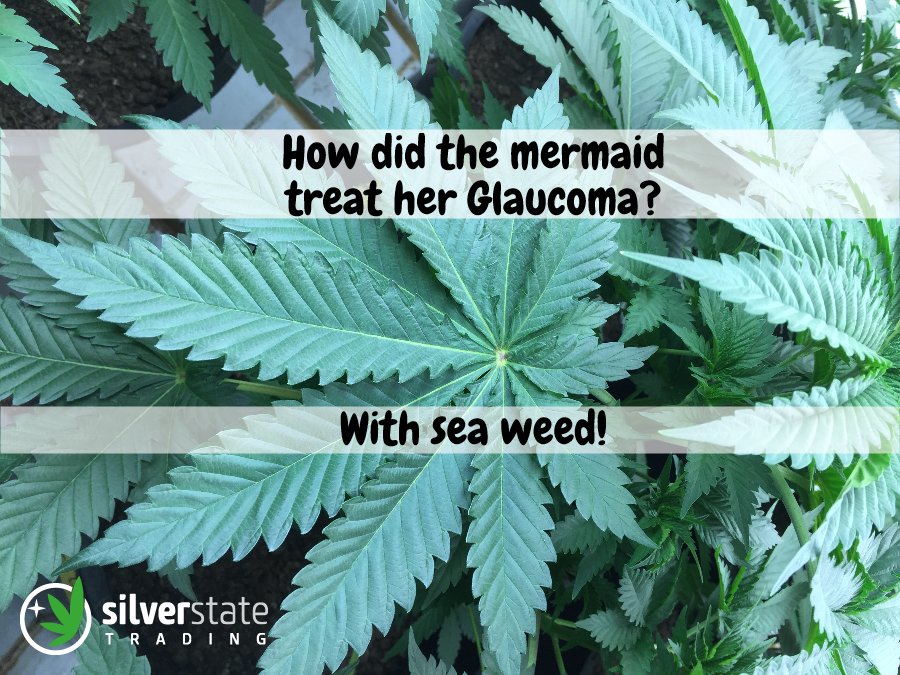 SilverStTrd's tweet image. A little something to get you through the rest of the week... 
#MMJ #HumpDayHumor #MMJHumor #SilverStateTrading