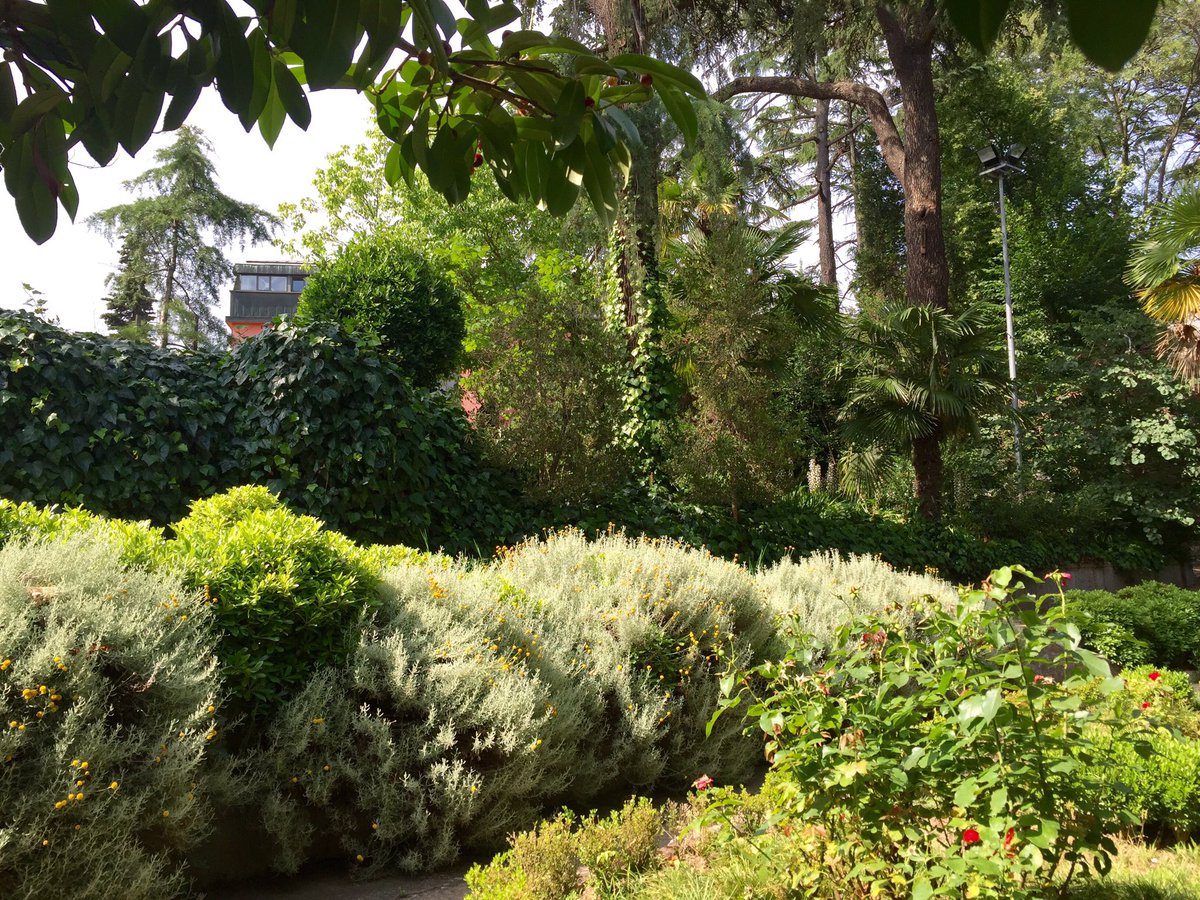 jelyrowan's tweet photo. Relaxing at Yıldız Technical University's garden after working on an UNESCO exhibit. #iep2016 #ytu https://t.co/wV9IXtiJui