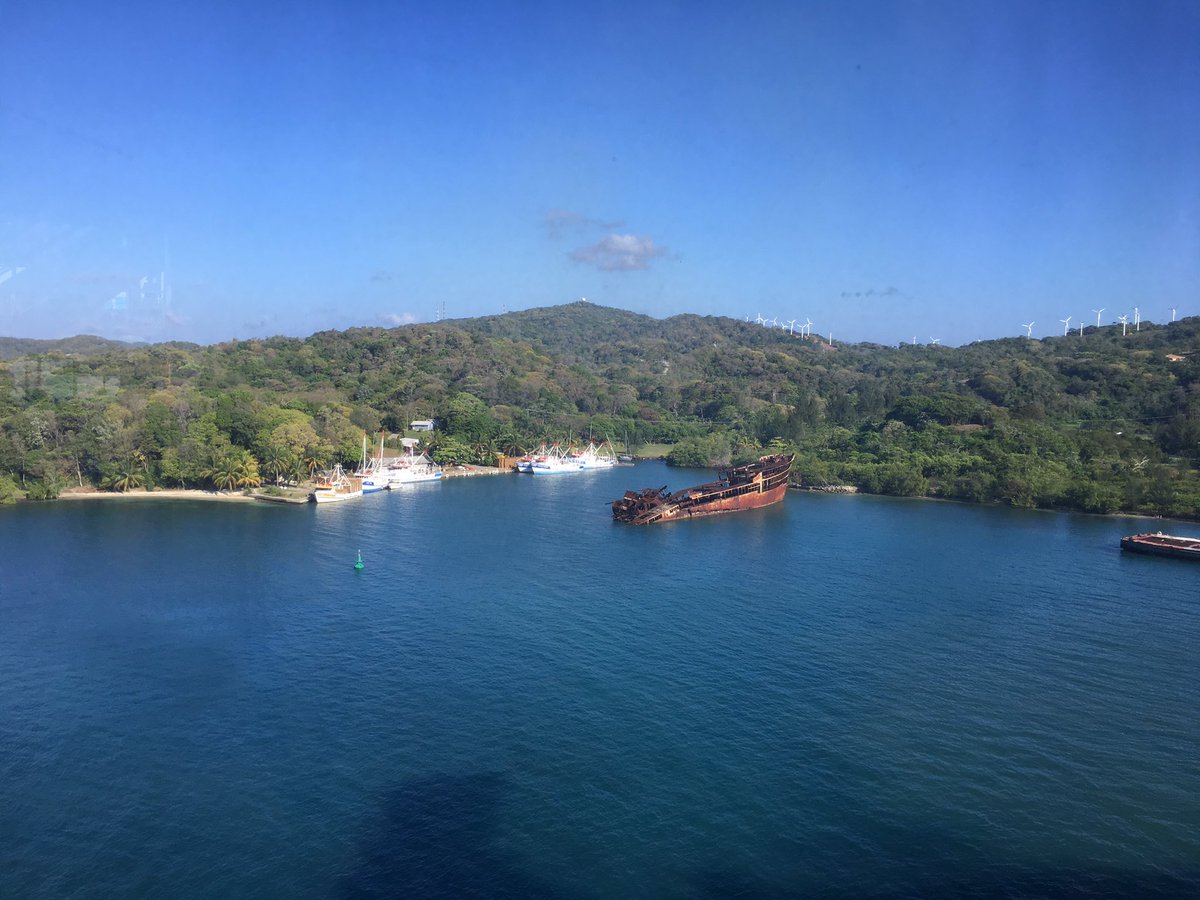jlee804's tweet photo. Roatan 🐒 https://t.co/enZ9vT0you