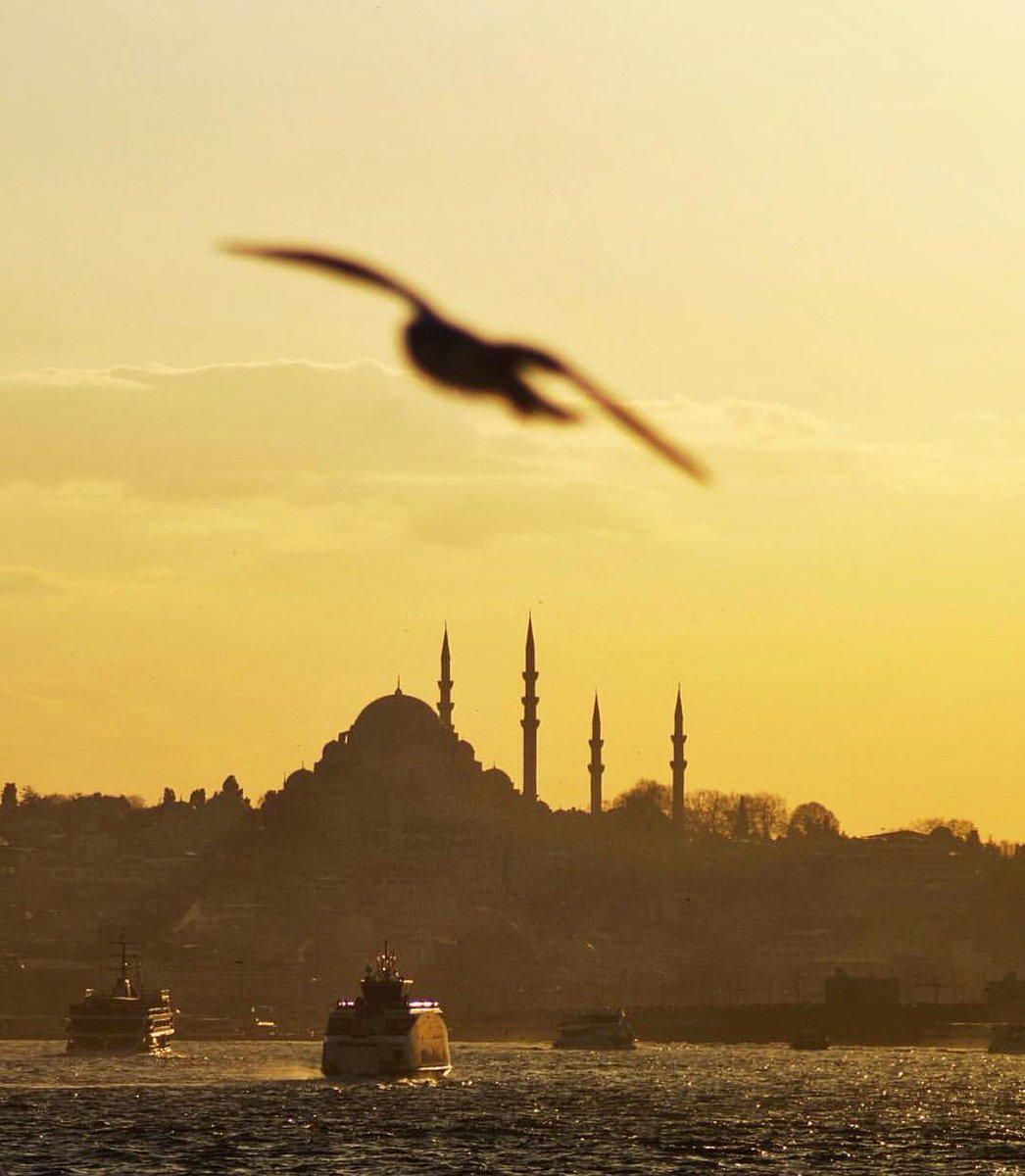 Fotograf sahibi ve üyemiz Furkan Koyuncu  kendisini tebrik eder fotoğrafı bizimle paylaştığı için teşekkür ederiz.