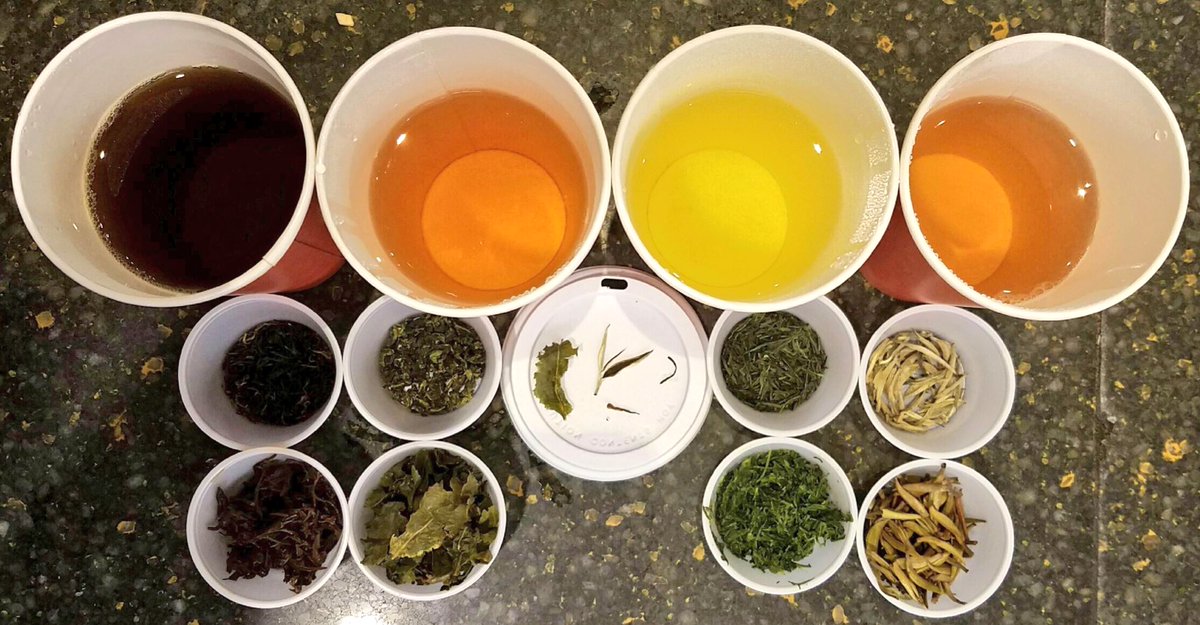 vinncasa's tweet photo. My favorite part of this tasting was seeing the quality of the tea, especially in the Silver Needle #teaguide101 https://t.co/eMuP3Ru42j