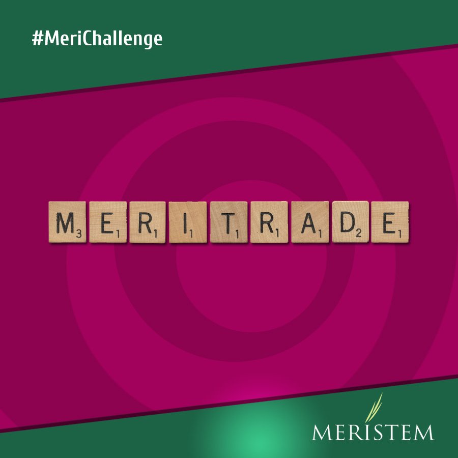 MeristemNigeria's tweet photo. #MeriChallenge What's the four-letter word that can be formed from the word "Meritrade" and also means money? https://t.co/grTodFxAeU