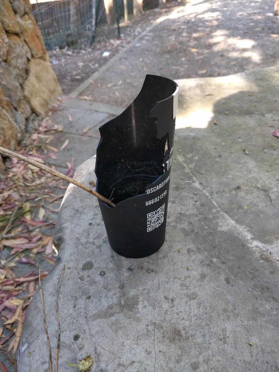 Moscardtigre tweet media