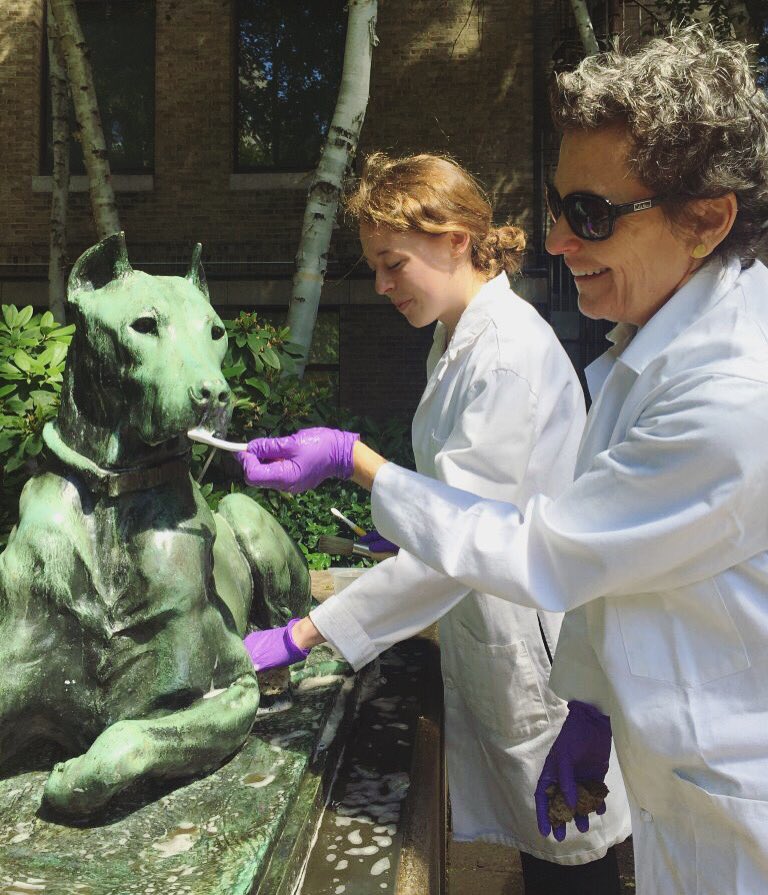 mfaboston's tweet image. A summer bath for our Great Danes earlier this week. Visit them in the Calderwood Courtyard! #mfaConservation