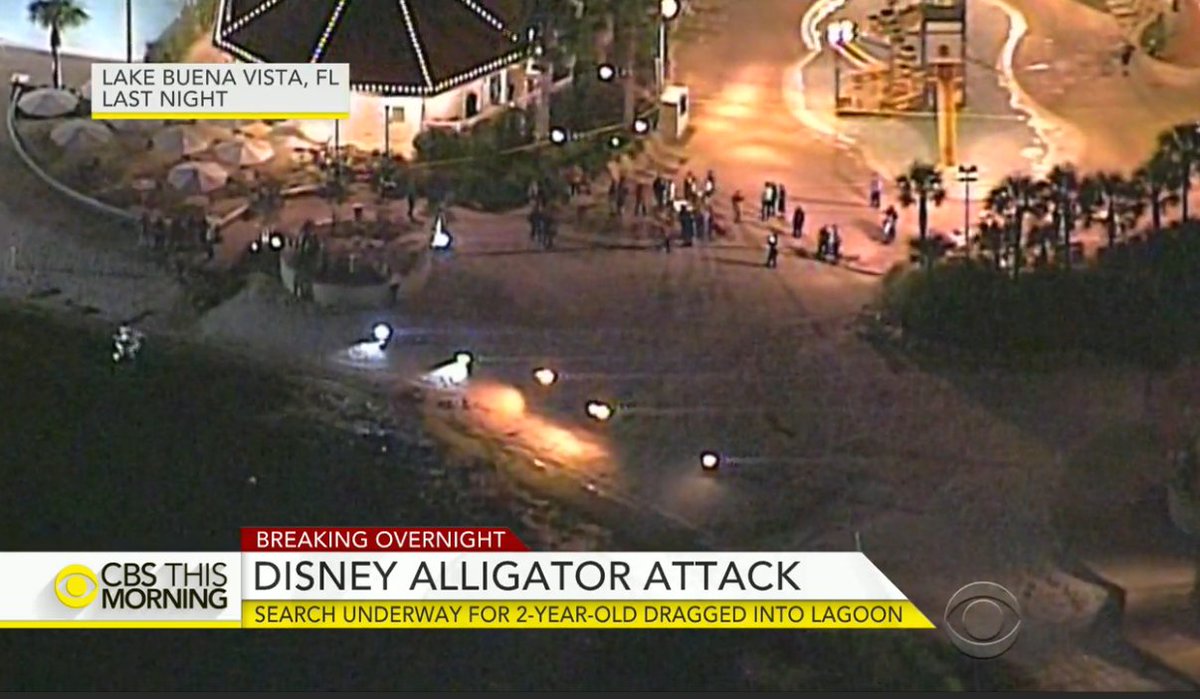TheRoot's tweet photo. 4 alligators killed during search for 2-year-old boy dragged from #DisneyWorld resort: https://t.co/ApBNI7IWWX https://t.co/2ulnx5LKfN