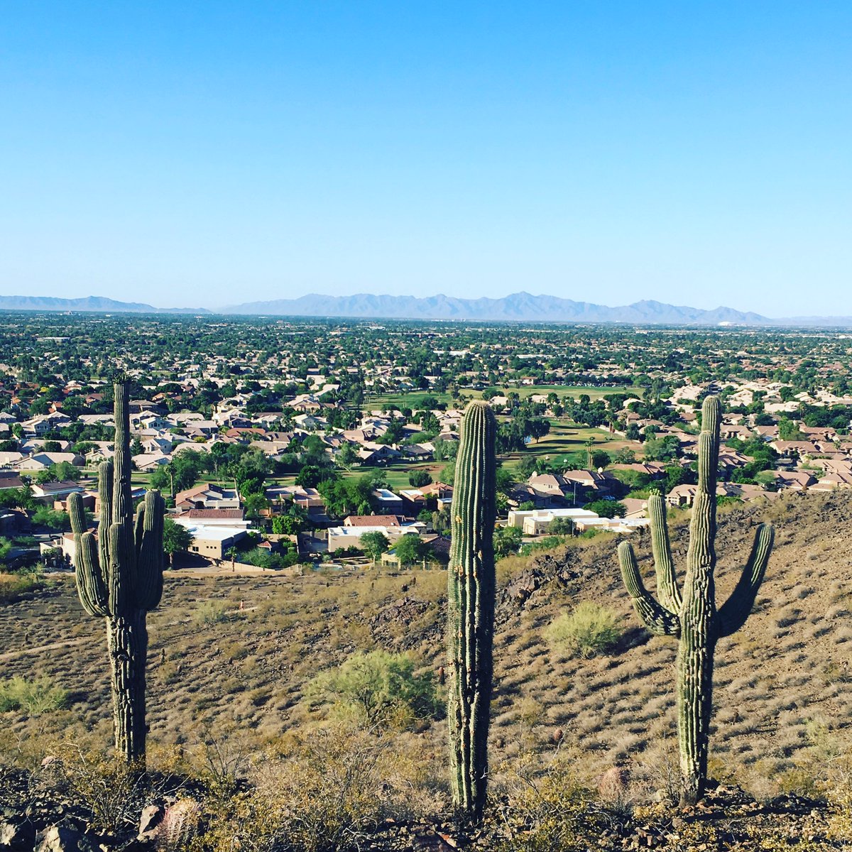 P_Socialite's tweet photo. There's no scenic view like the one in #Arizona. 🌵 #NaturePhotographyDay #Nanpapix #Phoenix #Phoenician https://t.co/ocLNh0Ob4H