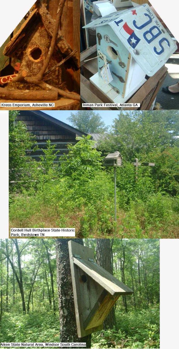CRPaluszewski's tweet photo. To liven up your 🌳 yard is to put a bird🐦house in it❕ @homedepot #birdhouse #thd0989 💻📱 https://t.co/QeCZCi8ePo https://t.co/LbsgFwQEmS