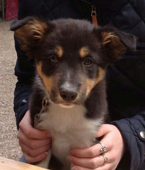 Aussie STAN (@heidert72) on Twitter photo 