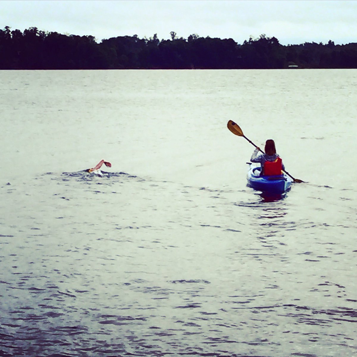 SF_SwimTeam2's tweet photo. Some days you just have to do your own version of Frank Olson perimeter days. #VacationDedication https://t.co/Tt5ZOK3o0o
