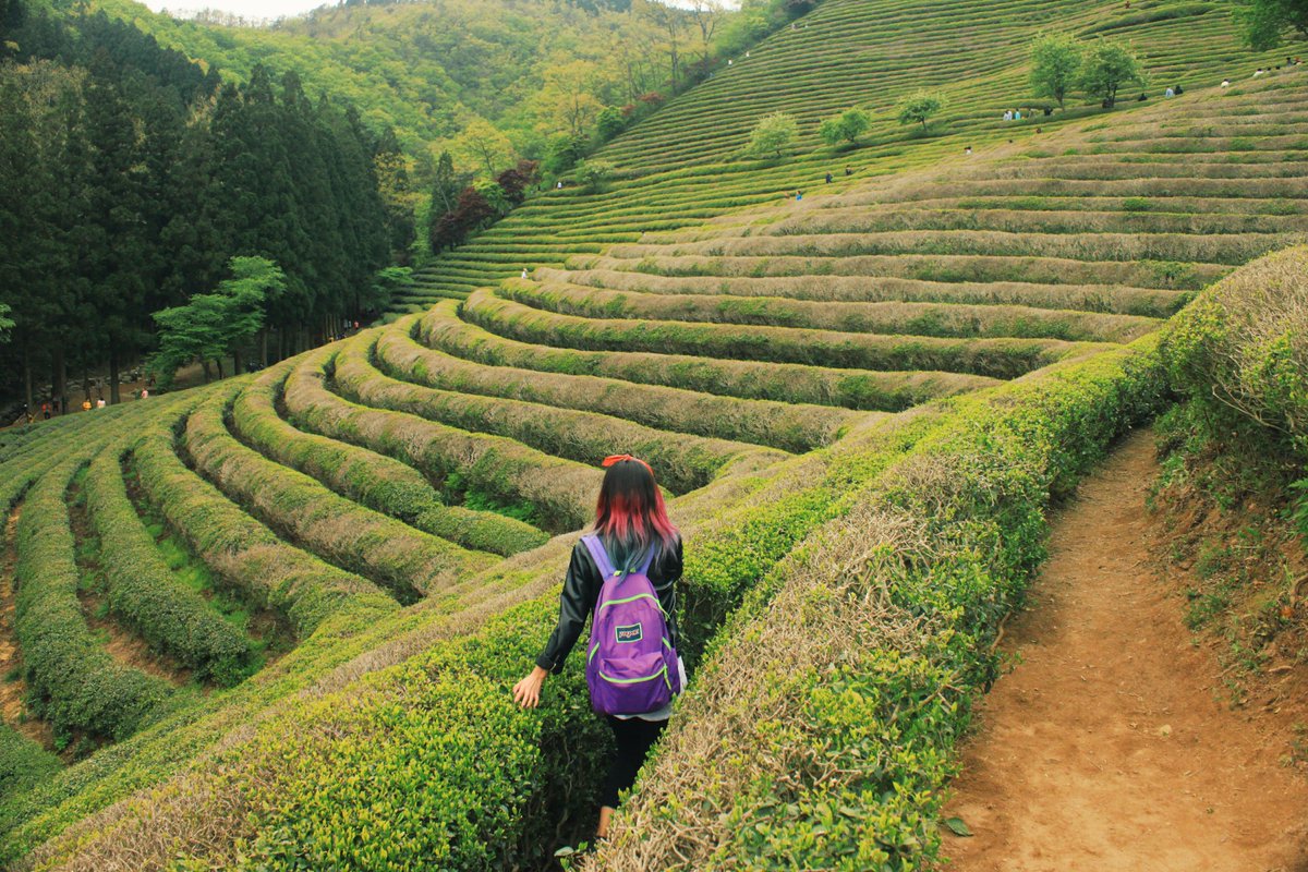 SFUStudyAbroad's tweet photo. Exchange deadline TODAY at 11:59pm for Spring 2017. GPA reqs updated under announcements https://t.co/gxrbiencjN https://t.co/20YJdIHxMP