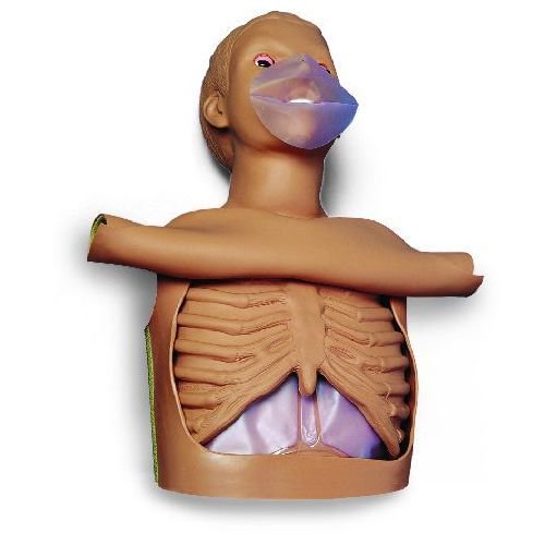 healthandcare's tweet photo. "Kiss me, beautiful"  

https://t.co/A6YMhglase

#cpr #manikin #trainingaids #medicaldevices #cprtrainer https://t.co/mwaYnMDH1l